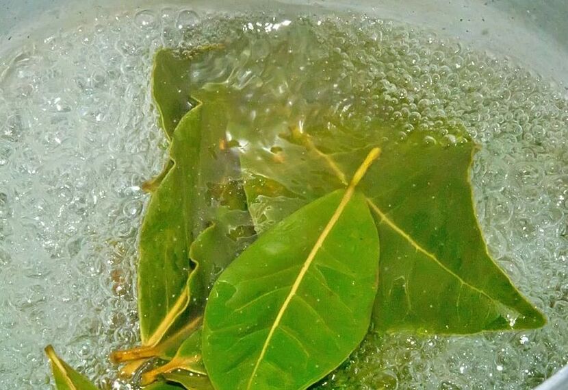 Boil the bay leaf